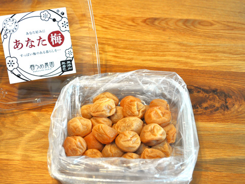 【福袋】無添加！梅農家から南高梅いろいろセット！