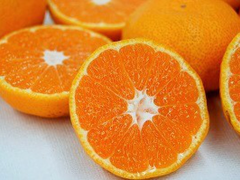 【訳あり】愛媛みかん 10kg3Sサイズ