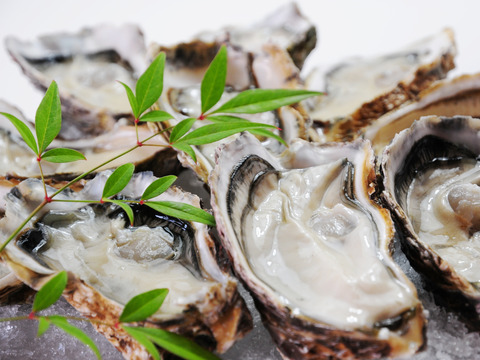 【生食用かき】よくばり2種♪　かきむき身400gと開殻かきハーフシェル12個　広島の海から直送♪　鮮度抜群！安心安全なこだわりの生かき