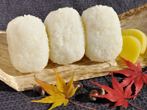 【令和7年度産新米】奥出雲盆地で寒暖差の中で育った旨味ある仁多米こしひかり（白米5kg）