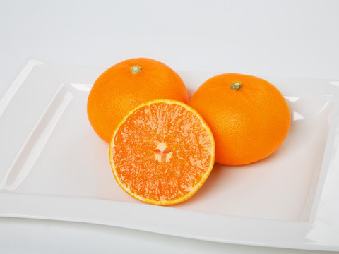 蔵出し極熟せとか 2kg×3箱(6kg)　～眠りから覚めた、とろける甘さ～