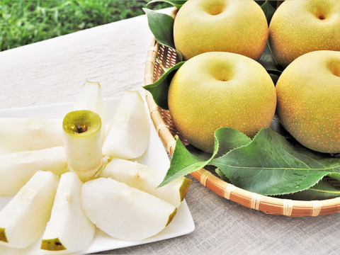 大玉梨　上品な甘さと良き香り【梨：新高】9～5個程度（約3ｋｇ）