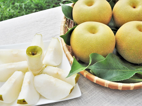 濃厚な甘さと瑞々しさが絶賛の「幸水」18～6個程度（5kg程度）