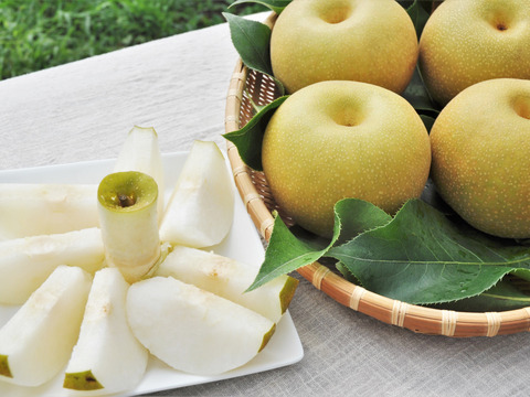 濃厚な甘さと瑞々しさが絶賛の【梨：幸水】9～5個程度（3㎏程度）