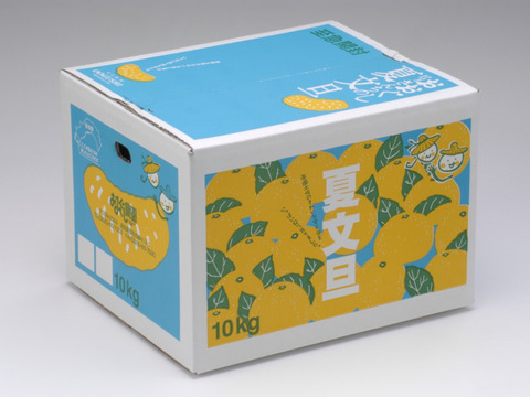 【家庭用10kg】夏文旦　濃厚ジューシー！潮風を浴びた高知県育ちの夏文旦　南国みかん　オレンジ