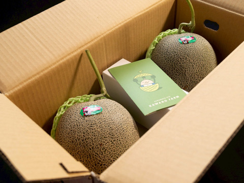 【有明育ちの肥後の大将】肥後グリーンメロン 2玉