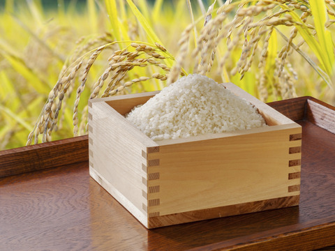 【酒米の王様　山田錦を食卓へ】化学肥料・農薬不使用 もちもち食感　精米10kg