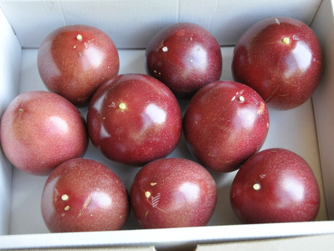 パッションフルーツ800g（家庭用）