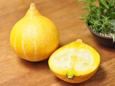 「コリンキー」１個(約５００g）と「ニンニク」３個セット【限定5箱】