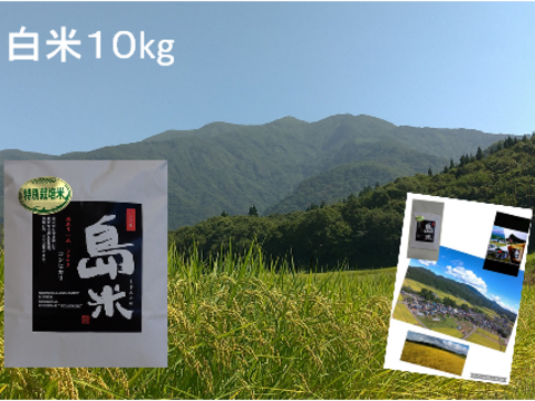 令和5年産 新米 特別栽培米 幻のコシヒカリ10k白米