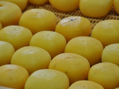 【奈良・吉野】中がとろ～りと甘い！完全無添加あんぽ柿(大2個入）×6Ｐ