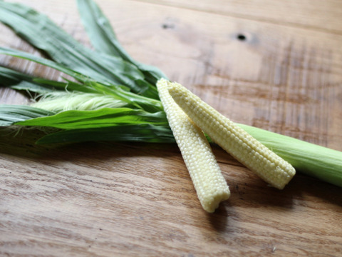 ※次回発送８月頃～【五つ星ホテルでご提供】朝採れ発送！兵庫県香美町産ヤングコーン・ベビーコーン(品種：ゴールドラッシュ)！
