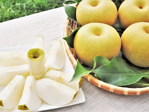 当園の和梨で人気ナンバー１の【梨：豊水】9~5個程度（3㎏程度）