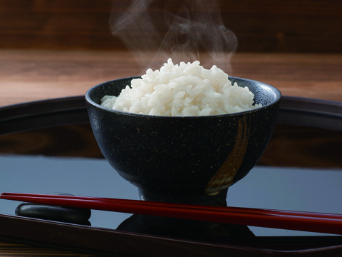 令和2年度産もっちりふっくら あきたこまち(精米)10kg