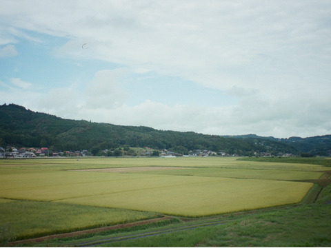 【令和7年新米】特別栽培米ひとめぼれ玄米10キロ