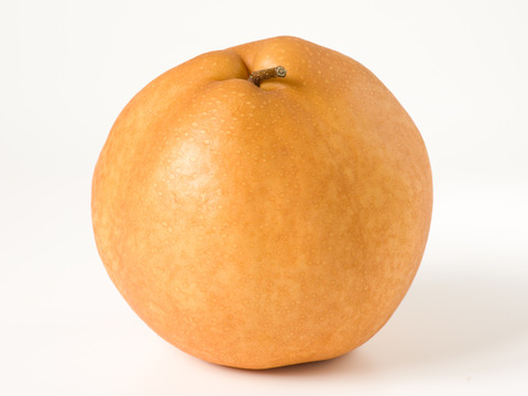 大きさも甘さもジャンボで大満足！新高梨５ｋｇ