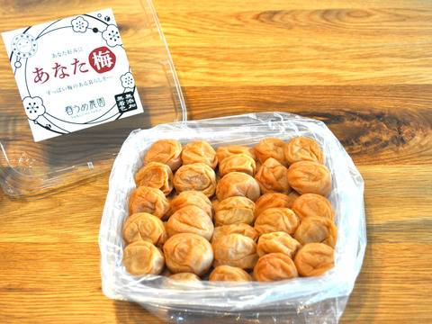 【無添加】中粒　梅農家が漬ける　そのままの梅干し『あなた梅』500g