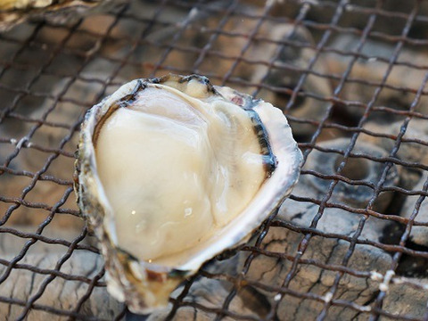 真牡蠣と岩牡蠣の食べ比べセット
みるくがきL サイズと糸島サウンドLサイズ 合計6個　生食可
