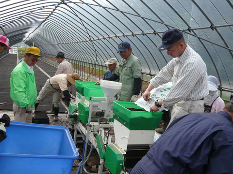 令和7年産 きぬむすめ【白米】 10kg