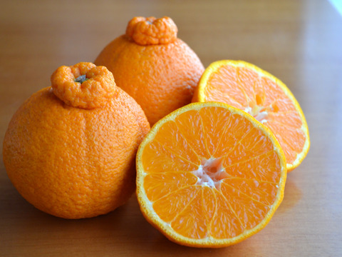 💫不知火【新鮮·個装追熟!!】【5kg·サイズ混合】   《ご家庭用》期間限定