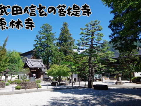 有名洋菓子店シャトレーゼ御用達『新鮮朝採』KOSHUシャインマスカット1㎏セット（2房程度）