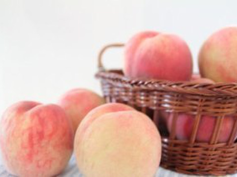 夏ギフト　【超新鮮桃】1.5kg　5玉前後【ASIAGAP認証農場：津軽農園】安心・安全な桃　収穫した日に発送　家庭用　農家直送