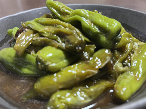 ☆有機JAS認証☆季節の彩り野菜セット