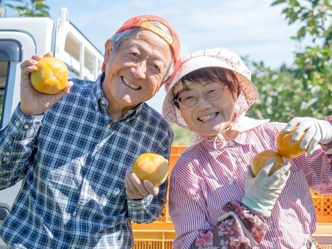 予約受付中ですよ　楽しみ２倍『太秋柿・輝太郎柿詰合せ』３Ｌ・９個 ・２.３kg以上 化粧箱入り
