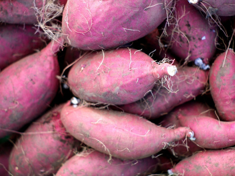 【ほしあかね使用】★いも（干し芋）　平干し（100g×3袋）