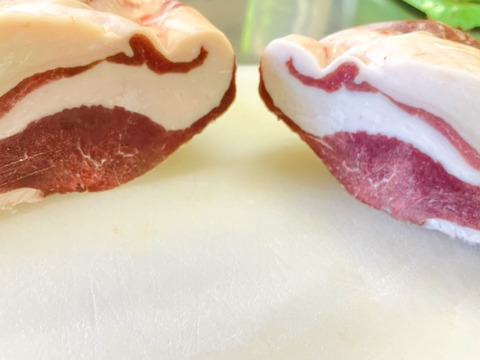 【期間限定】京都美山鹿　特上ミンチ肉【1パック200g】