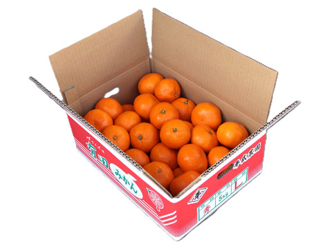 【冬ギフト】農家直送！有田みかん5kg≪Lサイズ 秀品≫【平武農園】～蛍飛ぶ町から旬の便り～　和歌山｜有田｜田口｜ギフト｜こだわり　産地直送　お取り寄せ