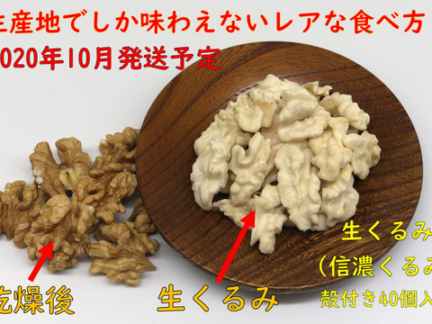21年8月予約開始 みずみずしい くるみ 乾燥前の生くるみ 殻付きタイプ 40個入り 国産 本くるみ 信濃くるみ 長野県産 食べチョク 農家 漁師の産直ネット通販 旬の食材を生産者直送 21年8月予約開始 みずみずしい くるみ 乾燥前の生くるみ 殻付きタイプ 40個入り 国産 本くるみ 信濃くるみ 長野県産 食べチョク 農家 漁師の産直ネット通販 旬の食材を生産者直送