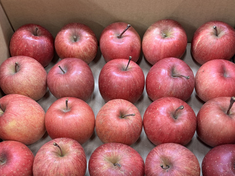 【極小玉・バラ詰め】サンふじ🍎家庭用約2.7Kg🍎毎日りんご　コスパ抜群　青森県産　数量限定