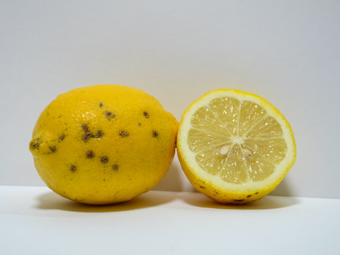 ［2kg］皮まで安心してご使用いただける低農薬レモン（大小混合）