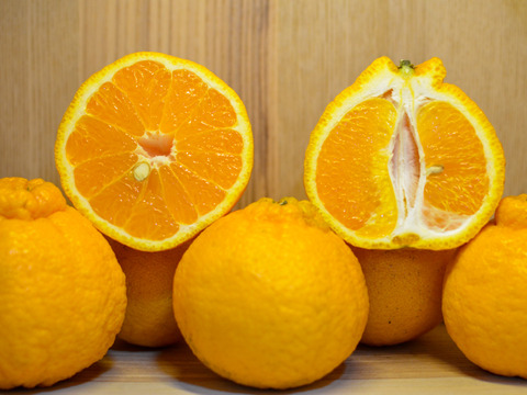 ［3kg］今が旬！春柑橘の詰め合わせ（4〜5種類・大小混合）