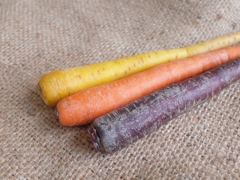 🌾新米入り🌾【月・金曜発送便】ココロ踊る🌈おまかせ野菜セット【さいたま市産】