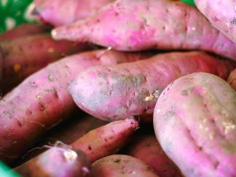【昔ながらの味】紅はるか　干し芋　平干し（1000g×1袋）※リサイクルダンボールで発送