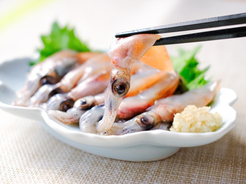 【夏ギフト】✨生・茹で・沖漬けのほたるいか贅沢3点セット✨