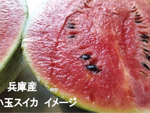 兵庫産小玉すいか1玉（ニュー小玉）④