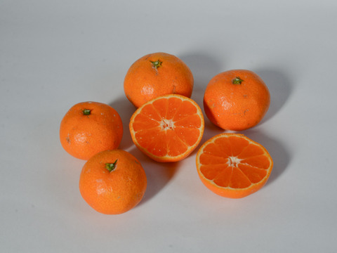 ［7kg］石地温州・中生みかん◆爽やかな風味と上品な味わいが特徴のみかんです◆（大小混合）