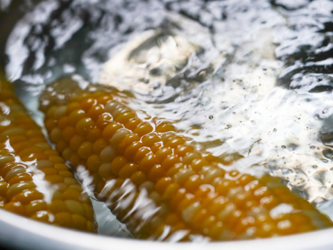 【五つ星ホテルでご提供】とうもろこし１２本（品種:スーパー黄味ちゃん）