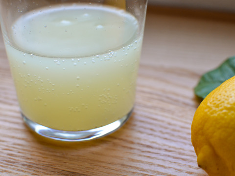《リモンチェッロ》綺麗な湧水で育てた完熟レモンでつくりました！（500ml×1本）
