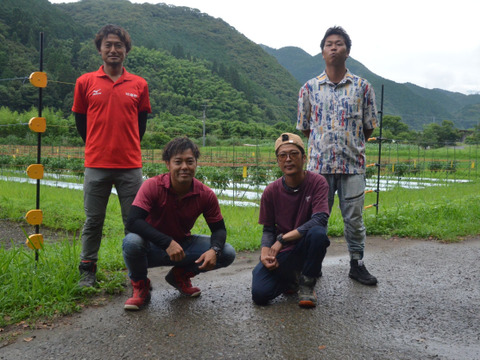 【時短】むき栗(冷凍)1kg