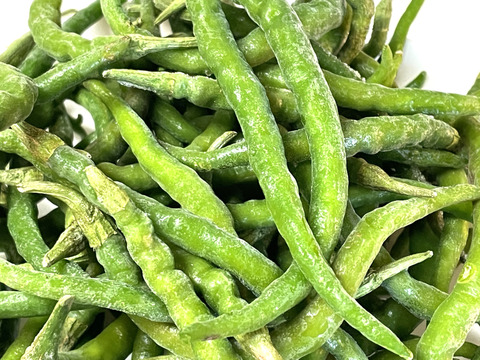 《冷凍》生唐辛子（青）あじめこしょう 群馬県産 300 g