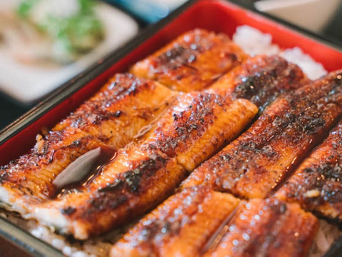 旨味たっぷり【味鰻定期便 6ヶ月に1回】味鰻蒲焼半尾5パック×2回