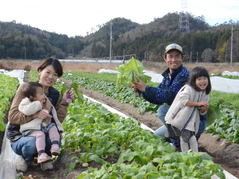 京都からお届け！南丹神吉で育った自然栽培の野菜セットSサイズ【4から5品目】
