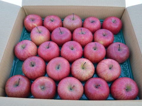 雪中貯蔵　黒石産サンふじ小玉家庭用5㎏