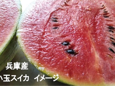 【最短発送】兵庫産　ニュー小玉スイカ1玉②2700ｇ