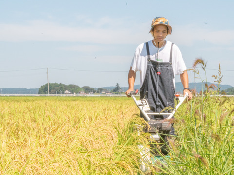サラサラすすむ"安心"のササニシキ 15kg玄米【有機肥料100%・農薬節約】
