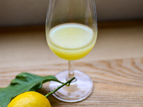 《リモンチェッロ》綺麗な湧水で育てた完熟レモンでつくりました！（500ml×1本）